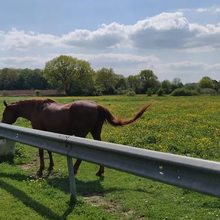 Le Moulin Des Moines *