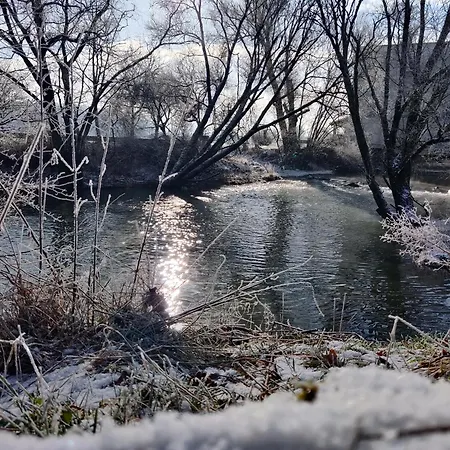 Le Moulin Des Moines Apartamento Châtenois