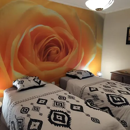 Le Moulin Des Moines