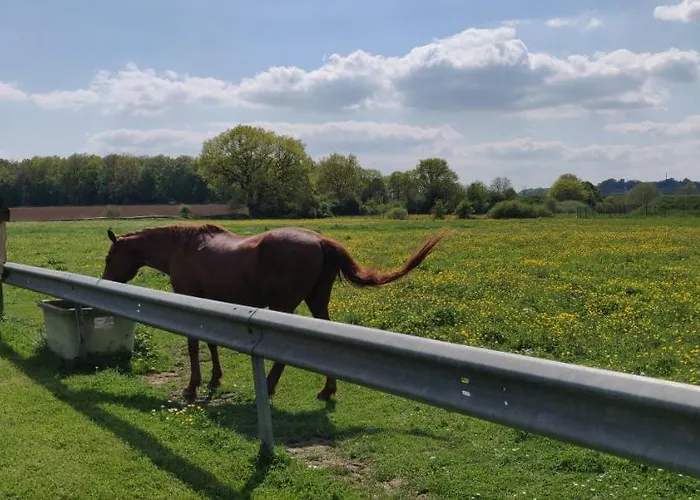 Le Moulin Des Moines *