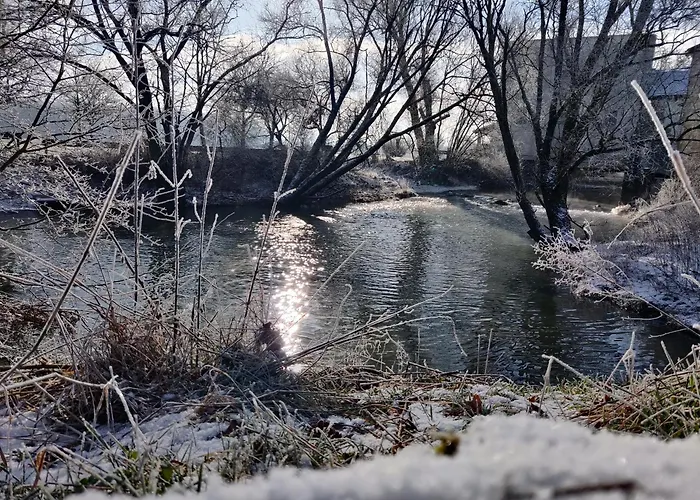 Le Moulin Des Moines 아파트 Châtenois
