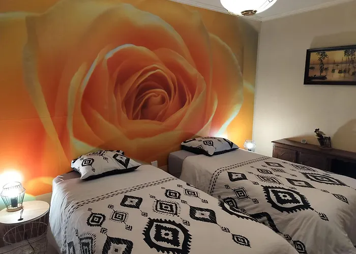 Le Moulin Des Moines